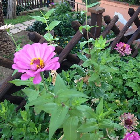 B&B Villa Di Giorgi Cefalù Eksteriør bilde