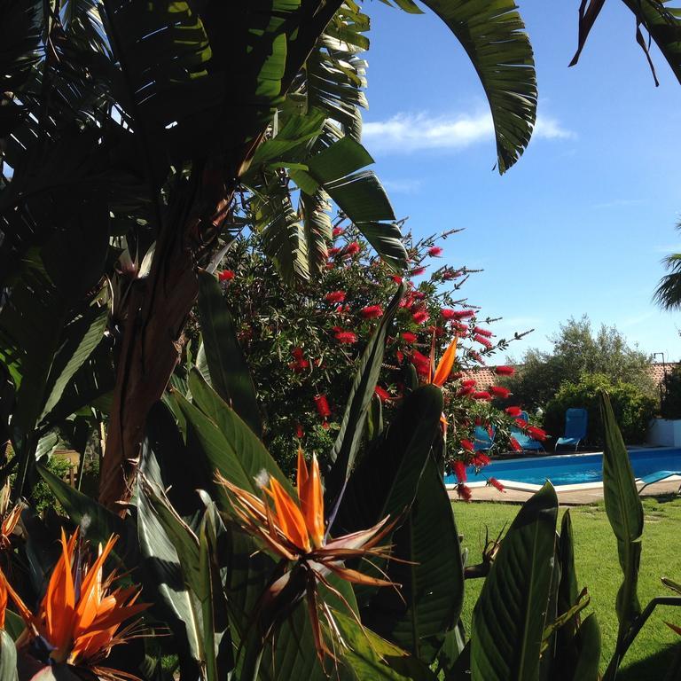 B&B Villa Di Giorgi Cefalù Eksteriør bilde